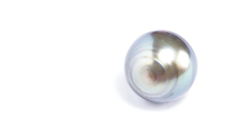 DDA Open House: An intro to Tahitian pearls by Robert Wan
